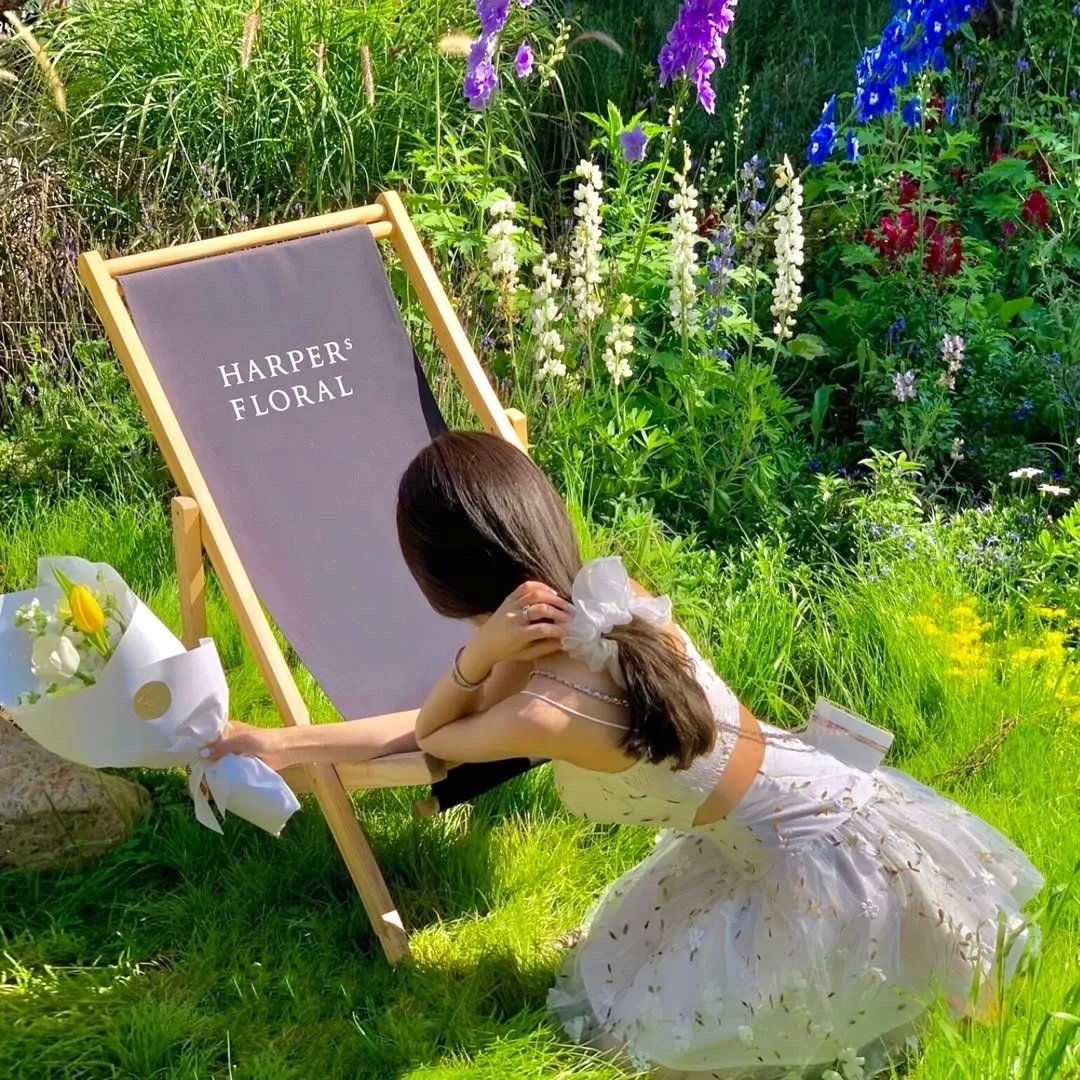 米德威奇布谷鸟